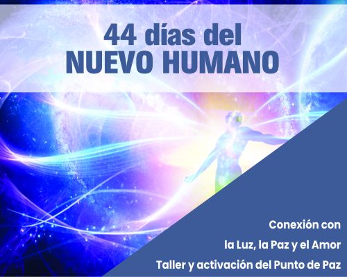 flyers web 9