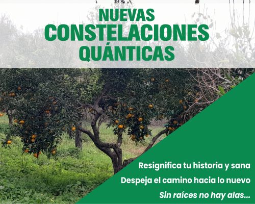 flyers web arbol
